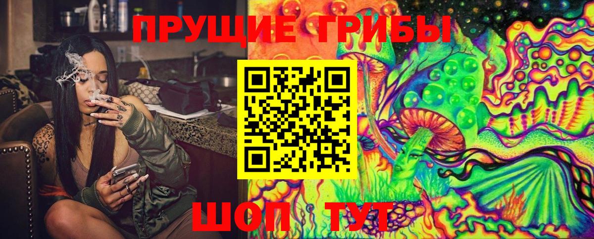 Галлюциногенные грибы Psilocybe  Вход с VPN  Белогорск  Галлюциногенные грибы прущие грибы 